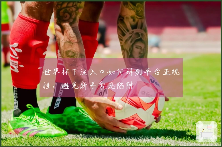 世界杯下注入口如何辨别平台正规性，避免新手常见陷阱