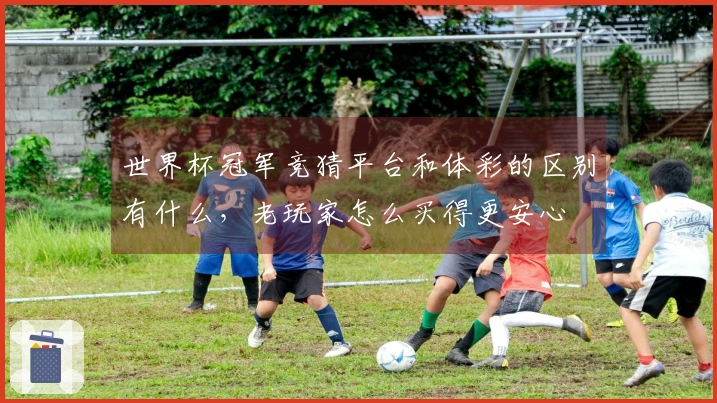 世界杯冠军竞猜平台和体彩的区别有什么，老玩家怎么买得更安心