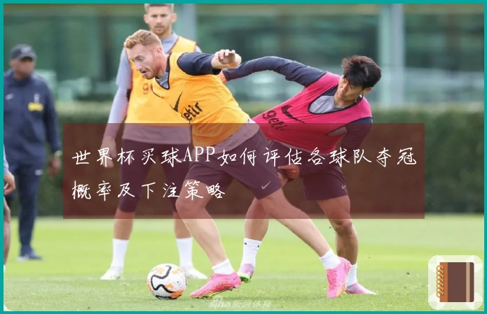 世界杯买球APP如何评估各球队夺冠概率及下注策略