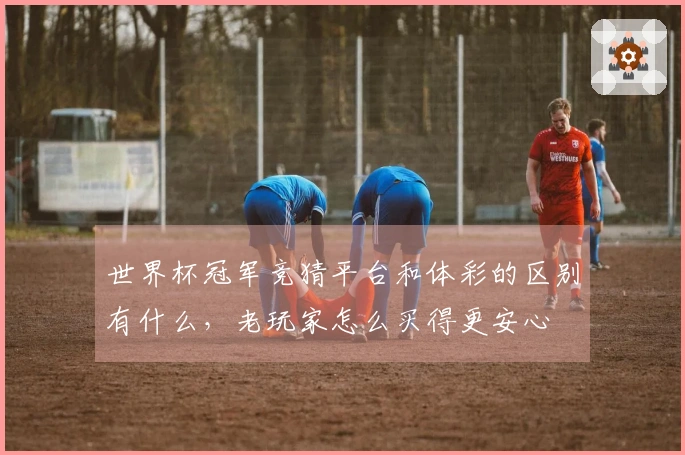 世界杯冠军竞猜平台和体彩的区别有什么，老玩家怎么买得更安心