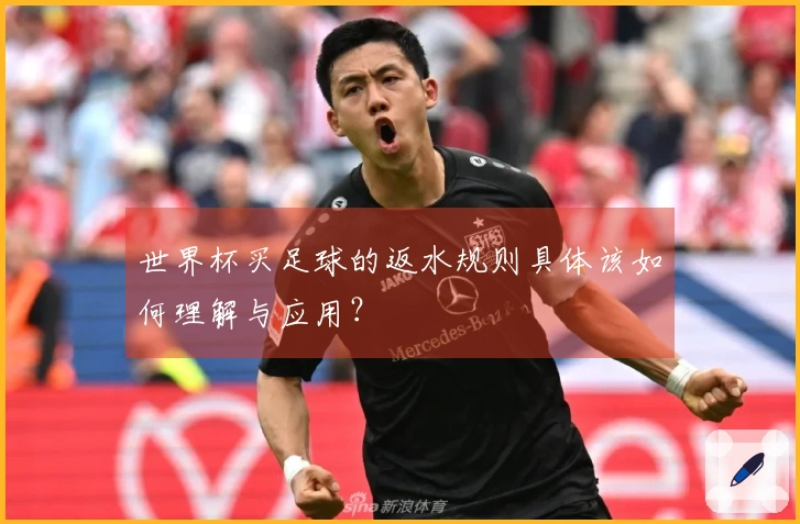 世界杯买足球的返水规则具体该如何理解与应用？