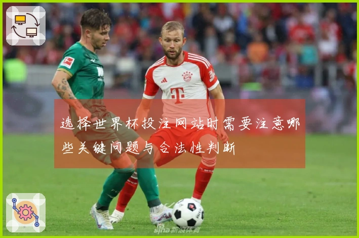 选择世界杯投注网站时需要注意哪些关键问题与合法性判断
