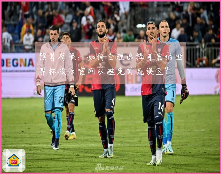 预算有限，如何合理选择可靠的世界杯投注官网以避免常见误区？
