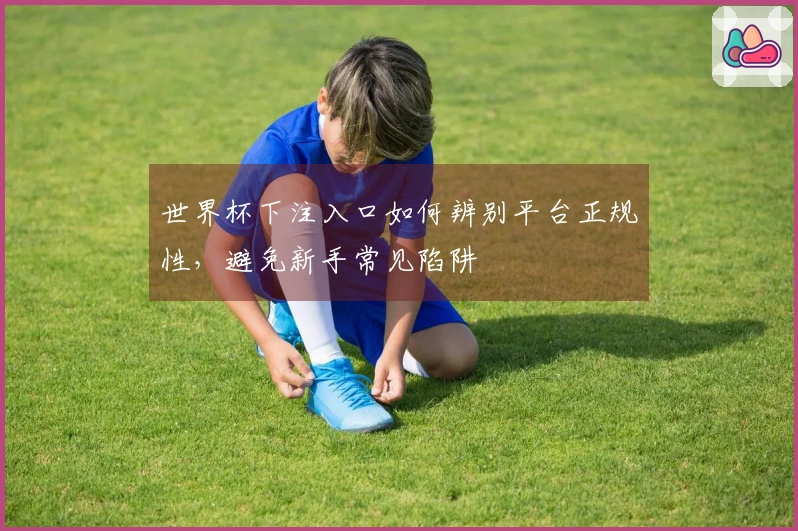 世界杯下注入口如何辨别平台正规性，避免新手常见陷阱