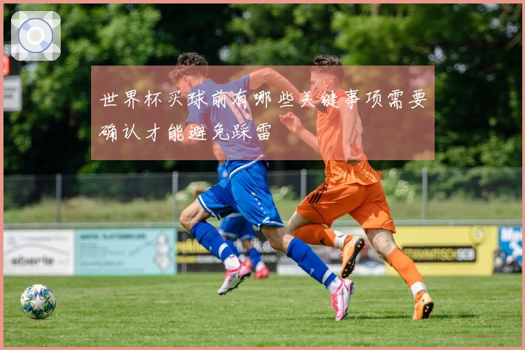 世界杯买球前有哪些关键事项需要确认才能避免踩雷
