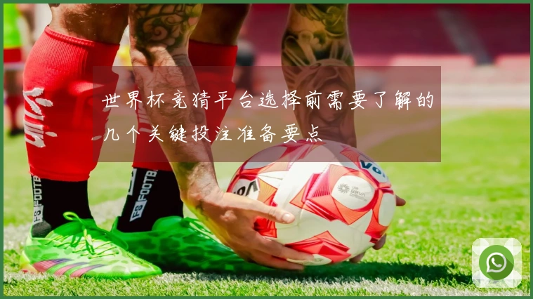 世界杯竞猜平台选择前需要了解的几个关键投注准备要点
